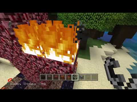 Brandon Wilson - How To Summon The Testicular Witch Of The West In Minecraft