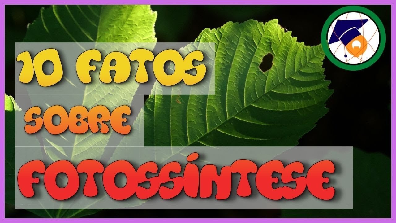 10 Fatos sobre a Fotossíntese