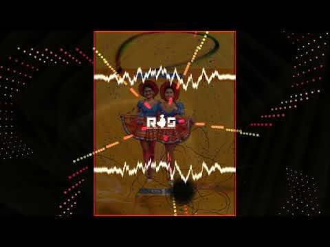 LOS DELFINES DE L AMOR & LUZ DANNI   AMOR Y PASION II RMX Remixes Salay™