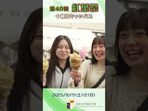 海洋生命科学科 北里大学獣医学部第40回紅葉祭グルメ編