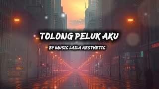 Download lagu Tolong Peluk Aku - Laila Aesthetic | Lirik Lagu mp3