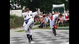 preview picture of video 'Taekwondo Tigerschule Vorführung am 27.05.2012 in Müllrose'
