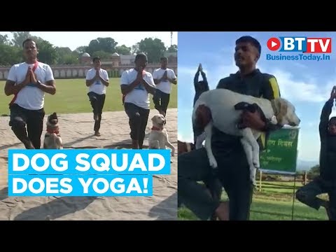 Watch lagu Images Videos Google News Yoga, Watch Images Google News Yoga free Watchn, video klip Google News Yoga