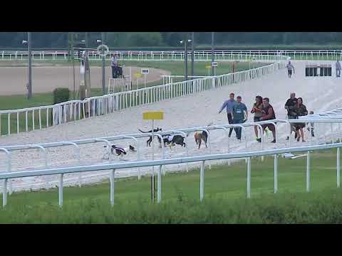 2018.06.02. - agár futam