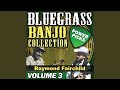 Raymond's Banjo Boogie