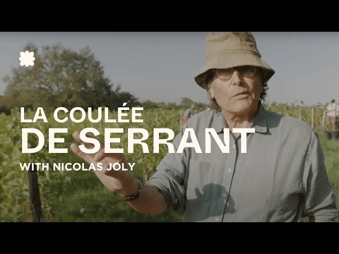 La Coulée de Serrant Documentary with Nicolas Joly | Savennières, Loire 🇫🇷