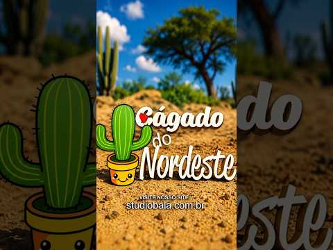 Cágado-do-nordeste no sítio Lagoa do Couro, Canapi, Alagoas