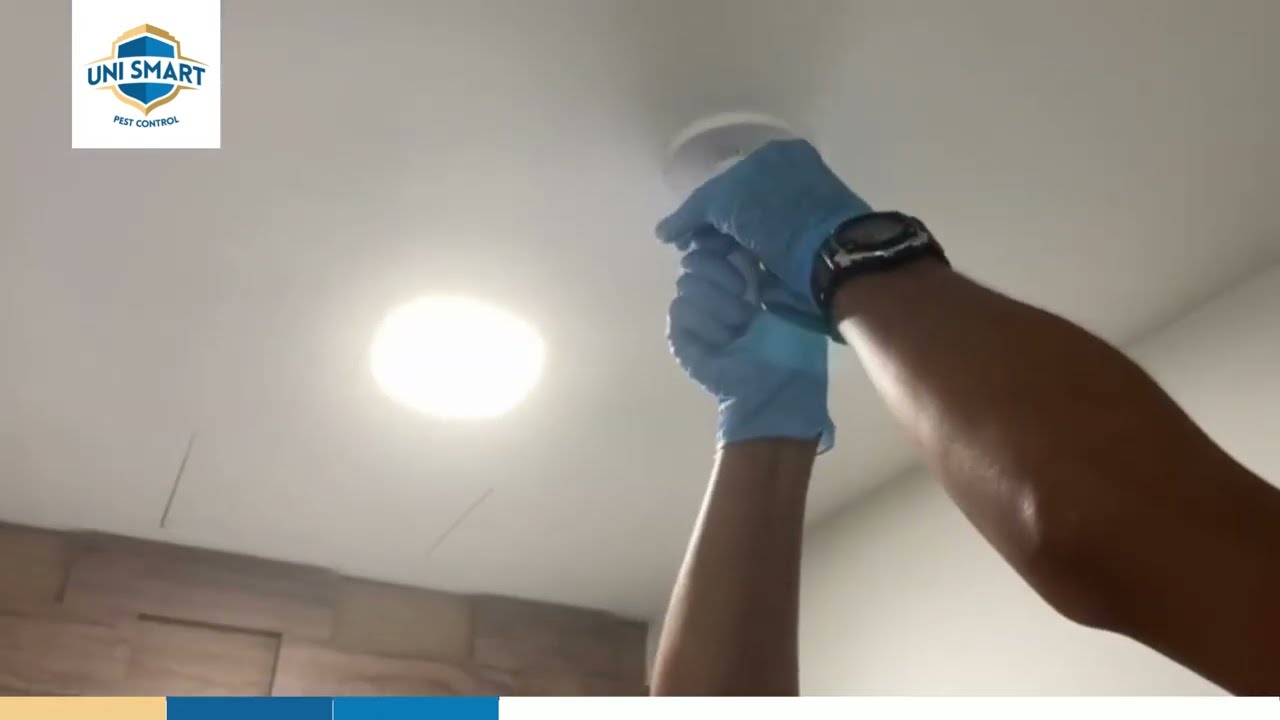 Smart-Bait?! Advanced ECO rat solution