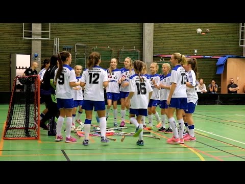Några glimtar från Häljarps SK F12 - IBK Lund 15 nov 2015