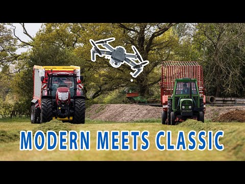 Border Plant Grass Day With Pottinger & McCormick