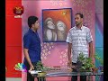 nugasewana-bonsai-16-07-2018