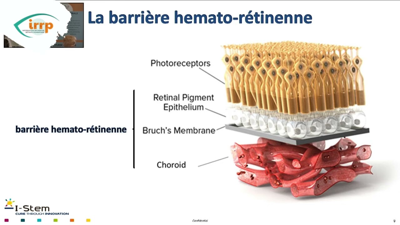 09 - Conférence médicale 2025 - Dr Walter HABELER