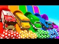 Collar Squish Ball Baby Shark Song Seven Steps More Nursery Rhymes Kids Songs Kindergarten
