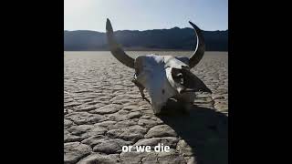 Manifesto