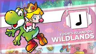 Cover art for wildlands