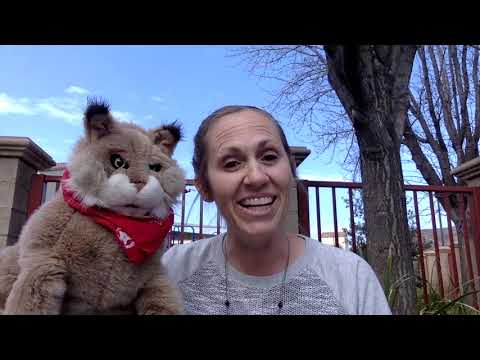 Yerba Buena Campus Tour