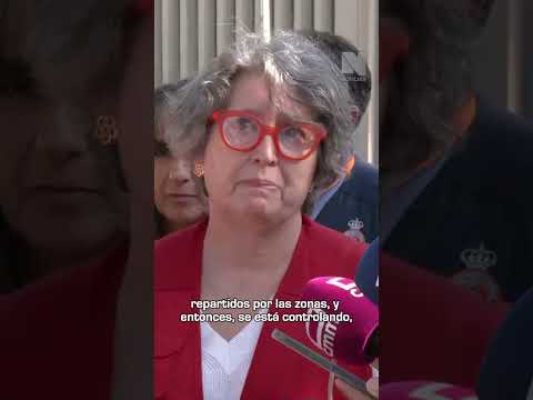 Tractores para hacer cortafuegos en el incendio de Guadalajara