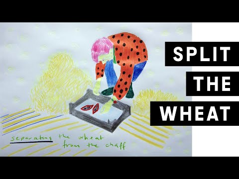 Separating the Wheat from the Chaff  //  Confession Drawings (No. 20)