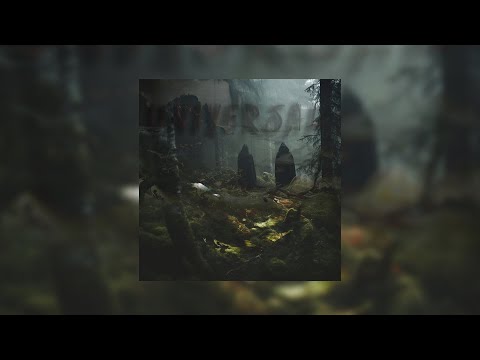 UzTeeRaN & Ali - UNIVERSAL (Lok Druid)