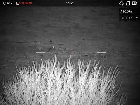 HIKMICRO - Cheetah C32F-SNL LRF  - Jackal hunting - 223 rem. IR /Custom light 850 Nm/.