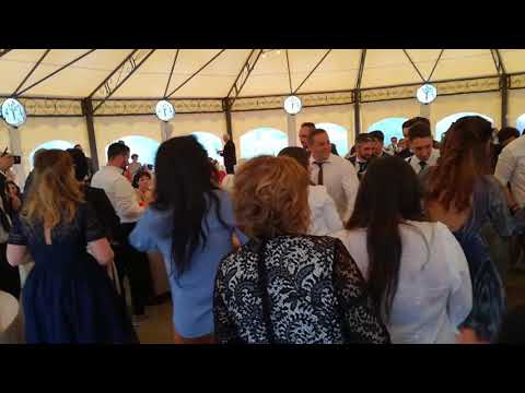balli di gruppo per matrimonio Alex & Claudia Parco le cicogne  barengo   No