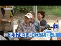 대전뉴스 대전 동구 세천동 새동네 도시가스 공급 시작