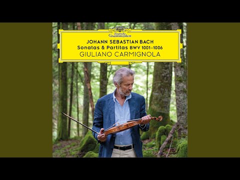 J.S. Bach: Partita for Violin Solo No. 2 in D Minor, BWV 1004 - IV. Gigue