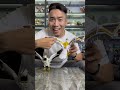 DX Tsubasamaru 1994 Vs Legacy Falconzord Power Ranger Mighty Morphin SS3 Goldenroostercollection