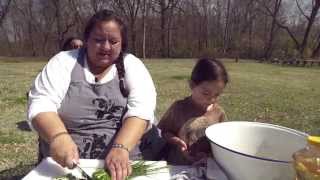 Wild Onions, A Cherokee Foraging Tradition