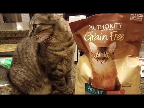 HEALTHY CAT FOOD TRYING TO GET MY CATS ON A HEALTHY DIET CAT WITH ANEMIA