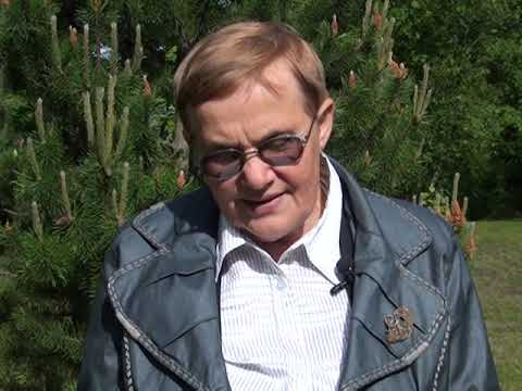 Žemaitė ir Ušnėnai