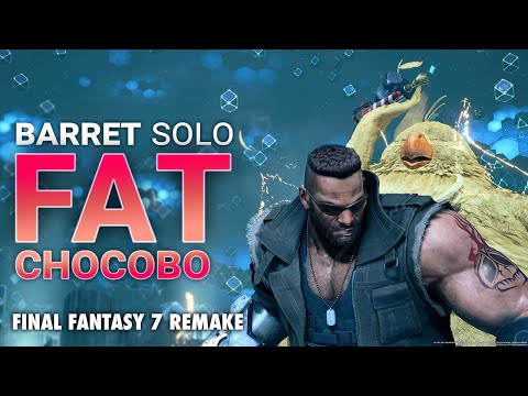 Barret Fries Fat Chocobo Hard Mode (Steel Pincers)