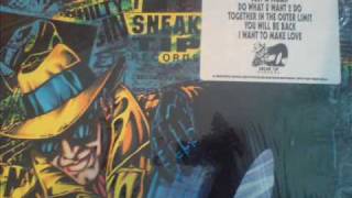 Together In The Outer Limit - DJ Sneak - The Dust In My Closet E.P - Sneak Tip Records