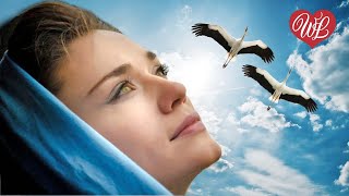 БРОДЯГА ♥ КРАСИВЫЕ ПЕСНИ ДЛЯ ДУШИ ♥ ПЕСНИ СПЕТЫЕ СЕРДЦЕМ  ♥ WLV ♥ RUSSIAN MUSIC HIT