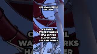 Carnival Cruise Fact 062 #fallintoshorts
