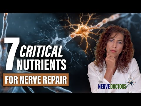 7 Critical Nutrients for Nerve Repair- The Nerve Doctors