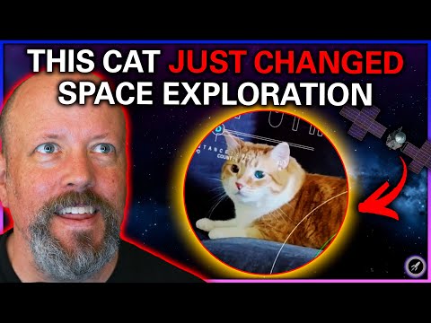 Game-Changing Space Test // Black Hole Core Stars // Toxic Enceladus Plumes