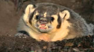 Bhai Avtar Singh Ragi   Aao Sakhee Gunn Kaamann Kareeha Jio