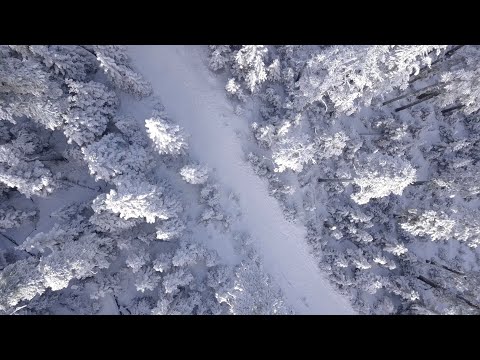 DPR X NIKE - Just Dream It (COVER)