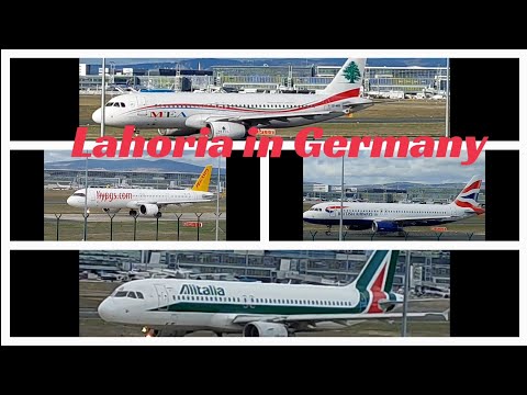 Os aviões mais incríveis de classe mundial Caminhada de gatos no melhor aeroporto europeu de Frankfurt, Alemanha #viral