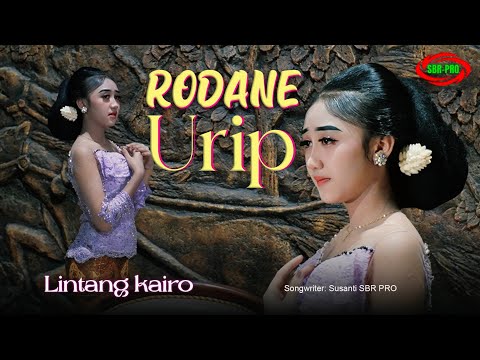LINTANG KAIRO - RODANE URIP ( Official Video Music )