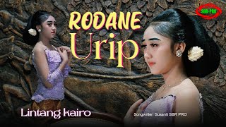 Download lagu LINTANG KAIRO - RODANE URIP ( Video Music ) mp3 Download lagu LINTANG KAIRO - RODANE URIP ( Video Music ) mp3