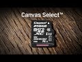 Pamäťová karta Kingston Canvas Select microSDXC 256GB UHS-I U1 SDCS/256GBSP