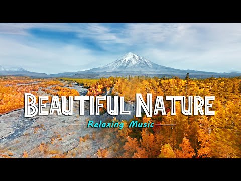 Beautiful Nature Relaxing Music