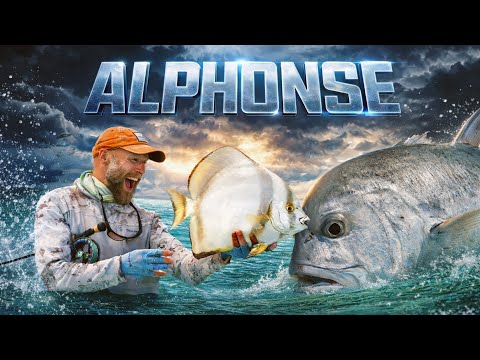 Alphonse Island - Giant Trevally, Permit, and Epic Batfish Surface Action (in 4K)
