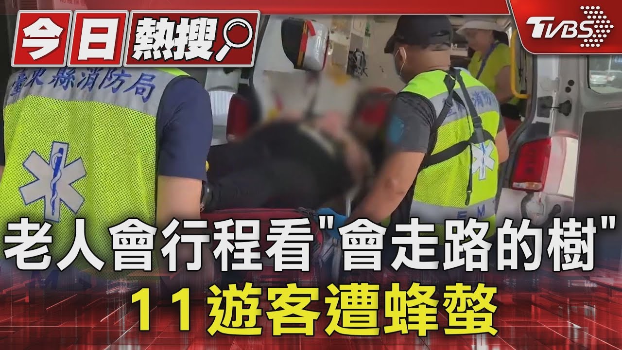 老人會行程看「會走路的樹」 11遊客遭蜂螫