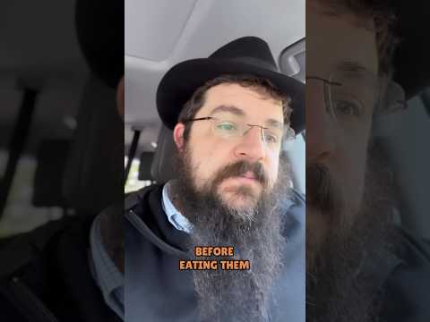 Are there KOSHER grasshoppers?? Daily Mitzvah day #91