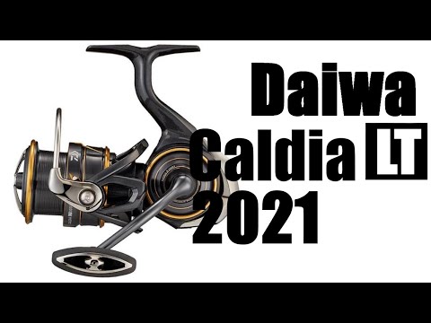 DAIWA CALDIA FC LT 2500S 傷あり Купить Катушка Daiwa 21 Caldia LT 2500 по низкой цене