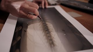 Asus Behind the make of Bespoke Installation