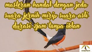 Download lagu INI BARU BEDA‼️‼️‼️‼️ SEMUA Ada DISINI...!HEMAT 15 JUTA RUPIAH (Kompilasi Masteran) mp3 Download lagu INI BARU BEDA‼️‼️‼️‼️ SEMUA Ada DISINI...!HEMAT 15 JUTA RUPIAH (Kompilasi Masteran) mp3